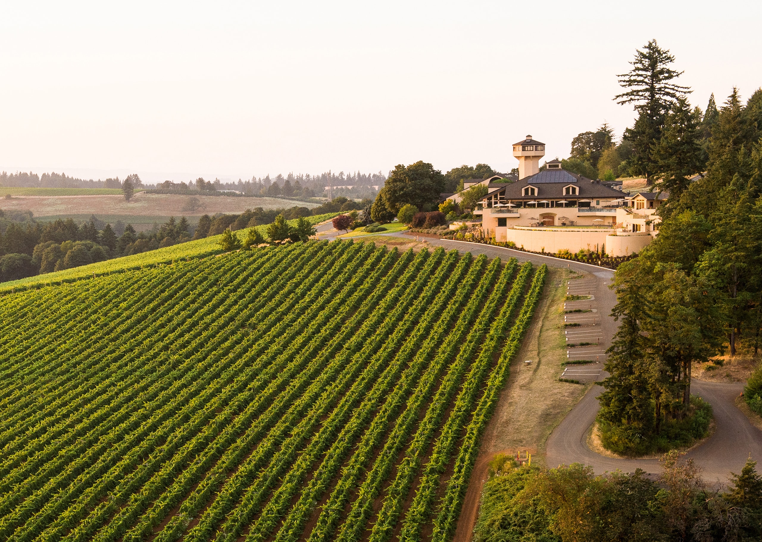 Willamette Valley Vineyards Project Preview Large